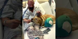 Köpeğim hastanede benimle kaldı!